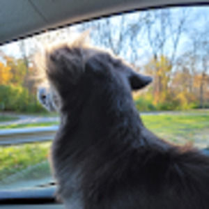 Meet your Posher, Jenny